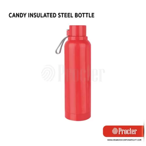 CANDY Insulated Steel Bottle H248