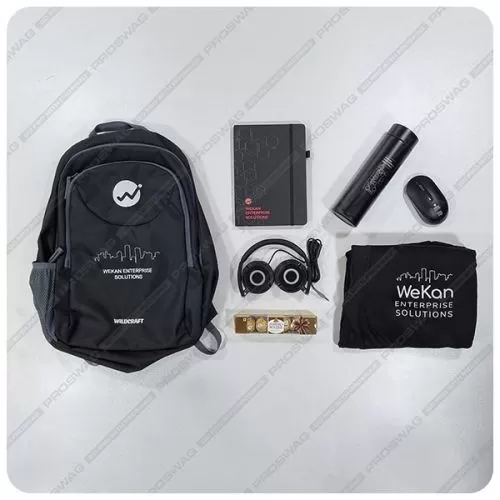 ELECTRA SWAG KIT