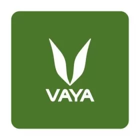 VAYA