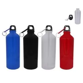 600ML METALIC BOTTLE HA-148