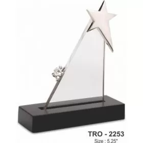 TROPHY - 2253 