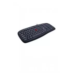 iBall Winner USB Standard Keyboard