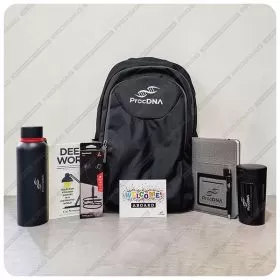 PEGASUS SWAG KIT 